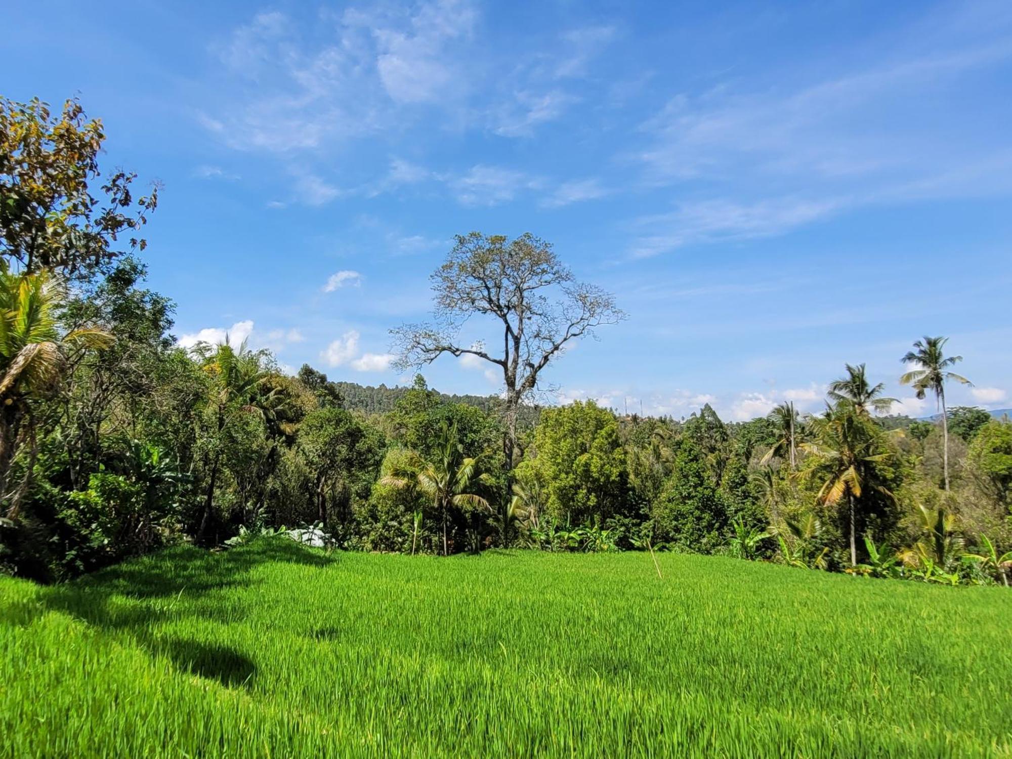 Umah Yugadi Bali Apartment Munduk  Ngoại thất bức ảnh