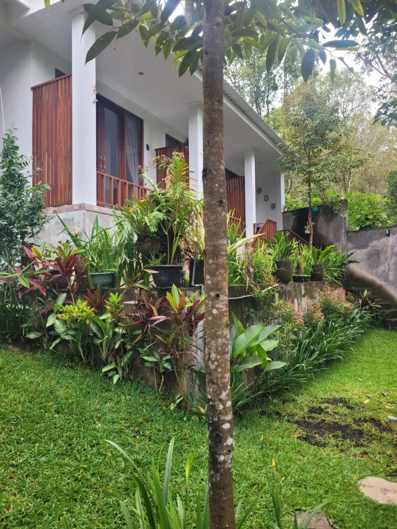 Umah Yugadi Bali Apartment Munduk  Ngoại thất bức ảnh